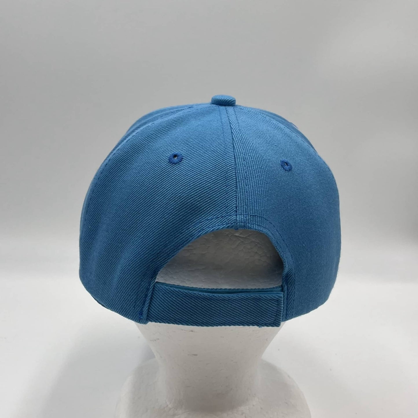 Plain Sandwich Velcro Cerulean 12 pack PCV0107 Cap Hat