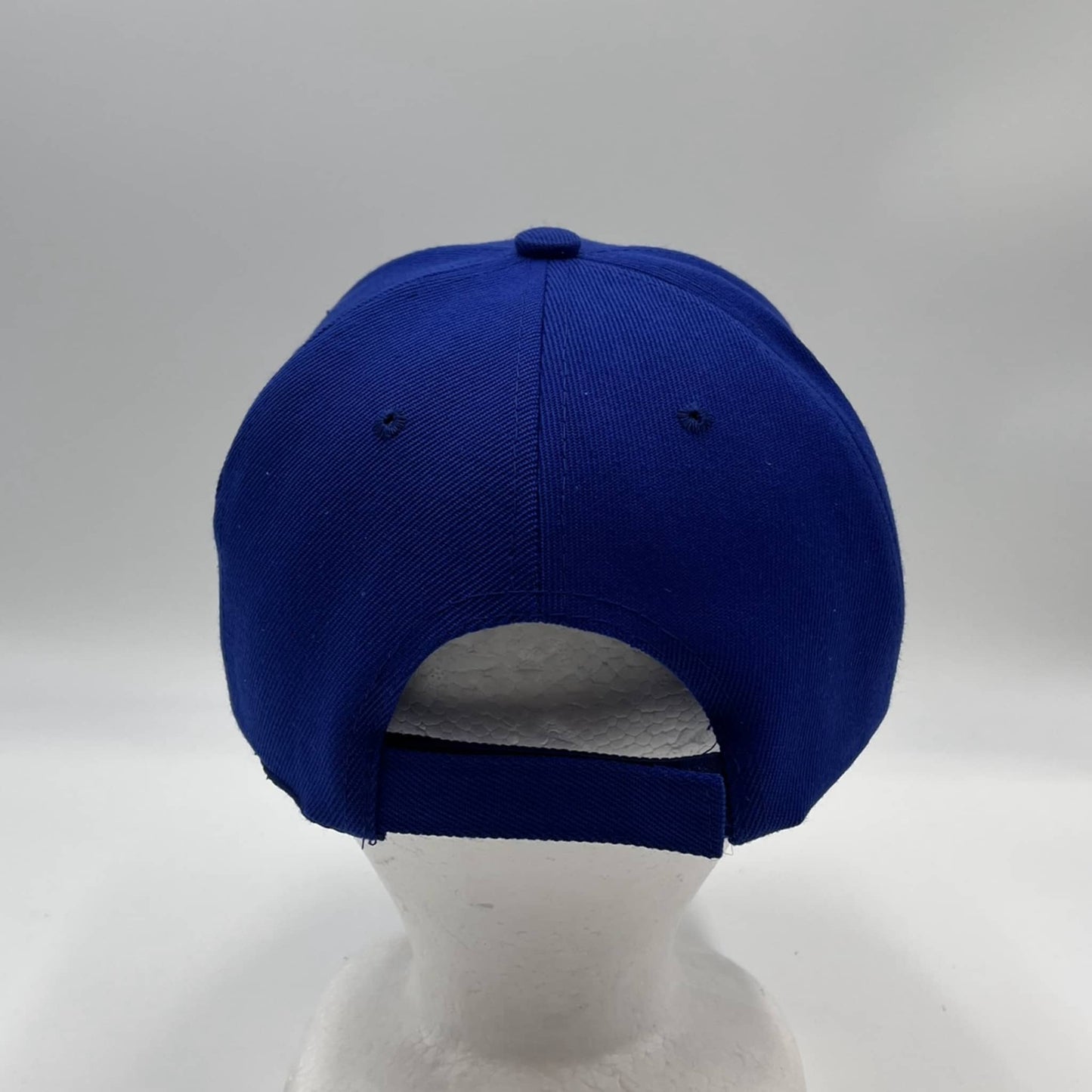 Plain Sandwich Velcro Blue and Blue Eyelets 12 pack PCV0105 Cap Hat