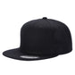 PS - Poly Snapback (SALE)