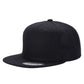 PS - Poly Snapback (SALE)