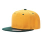 PS - Poly Snapback (SALE)