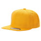 PS - Poly Snapback (SALE)