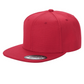 PS - Poly Snapback (SALE)