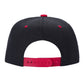 PS - Poly Snapback (SALE)