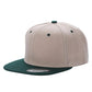 PS - Poly Snapback (SALE)