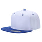 PS - Poly Snapback (SALE)